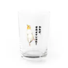 デザイン堂しまえながのわれがオカメインコ！ Water Glass :front