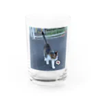 ながしっぽ from.さくらねこの家のながしっぽ　type.Ｊ Water Glass :front