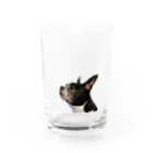 pukupuku_chanのうちのボストンテリアがかわいい Water Glass :front