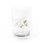 DOG FACEのトイプードル【わんデザイン 4月】 Water Glass :front