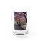 慶の桜の季節 Water Glass :front