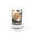 ルキちゃの猫派です グッズ Water Glass :front