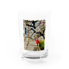 ぽたみの部屋の紅梅/ぽたみの部屋 Water Glass :front