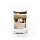 しゃもじとわんわんのお茶碗　わんわん Water Glass :front