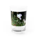 00'sの00'sのflower Water Glass :front