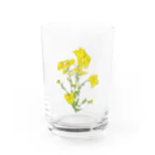 とりとっと観光案内所の菜の花 Water Glass :front