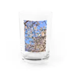 Fleurisseの桜香 Water Glass :front