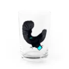 Generousのコウロコフウチョウ Water Glass :front