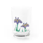 kamuiupopoの花菖蒲 Water Glass :front