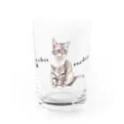 Ａｔｅｌｉｅｒ　Ｈｅｕｒｅｕｘのパステル💗ねこねこ　マーブルちゃん Water Glass :front