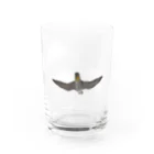 いもけんぴのハヤブサと綿雲 Water Glass :front