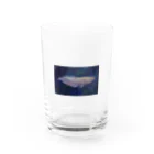 応魚のアルビノシルバーアロワナ（背景つき、青） Water Glass :front