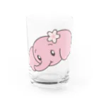 そぼろのぱおみん　桜 Water Glass :front