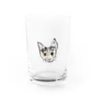 T.WorKsのネコマッシグラ Water Glass :front