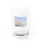 EMMAの桜 Water Glass :front