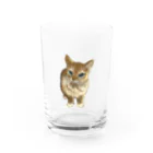 縁-yukari-のアビシニアン Water Glass :front