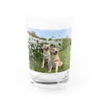 Golden Retriever Sarah&TaroのGolden Retriever Sarah&Taro Water Glass :front