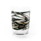 かわいい鰤たちのイワシの香り漂うグラス Water Glass :front