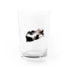 ポップコーンのボーダーコリー Water Glass :front