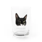 CONSOLER(コンソレ)のCONSOLER 猫 002 Water Glass :front