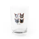 ねこほうチャンネル公式グッズのねこほう実写集合！ Water Glass :front