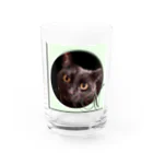 ぬくもふ屋　【猫 犬の似顔絵描き】のv Water Glass :front