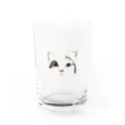 こげこげおこげまるのじっと見つめる Water Glass :front