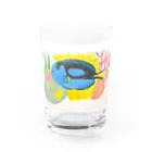 MAのナンヨウハギ Water Glass :front