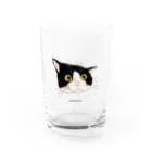 小鳥と映画館のいい顔のハチワレ猫 Water Glass :front