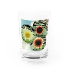 Hana123のめずらしい向日葵 Water Glass :front