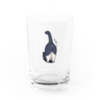 寂しんぐのはちわれねこ(おしりついん) Water Glass :front