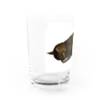 キジトラかもしれないのおねむ猫 Water Glass :left