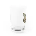 桃くるみSHOPのアハハにゃん Water Glass :left