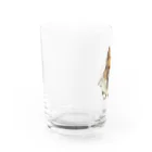 wどうぶつのこてこてつくん Water Glass :left