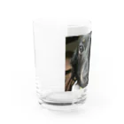 Sakupon1117のチョコ Water Glass :left