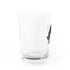 小鳥と映画館の赤い首輪のツンな黒猫ちゃん Water Glass :left