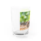 北海道アニマルグッズの元気いっぱいのエゾリス！ Water Glass :left