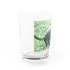 三毛猫のハシモトのタスマニアデビル(横) Water Glass :left