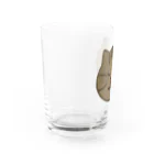 りのりのザウルスのネコマッチョ Water Glass :left