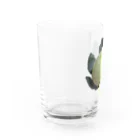 脂身通信Ｚの花いちじく_220809 Water Glass :left