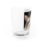 コテまるの白目 Water Glass :left