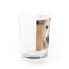 tamanikawaii_shibainuのすまし顔の柴犬♂ Water Glass :left