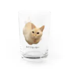 白玉ちゃんのおみせのおててないないとおててながいながい白玉ちゃん Water Glass :left