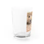 🐶ぷーちょこ公式ショップ🐶のだるちょこグッズ Water Glass :left