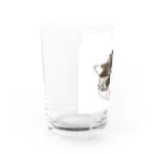 保護猫茶トラ兄弟LIFEの杏ちゃん Water Glass :left