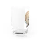 もふもふララちゃんのウサギグラス Water Glass :left