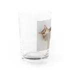 gaga_the_catのねむいガガ Water Glass :left