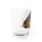 井上アフターバーナーのケロッピちゃん Water Glass :left