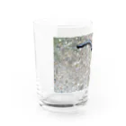 月澄狸のクロイロコウガイビル Water Glass :left