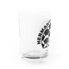 STAR TORTOISEのヘルマンリクガメ Water Glass :left